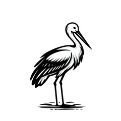 Obraz premium Stork isolated vector illustration