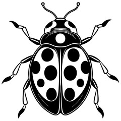 illustration of a ladybug