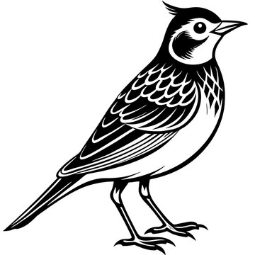 recommend clip art: lark. on a white background