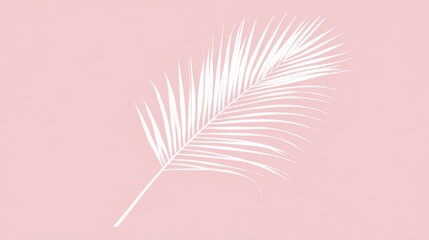 Single white palm leaf on a soft pink background.
