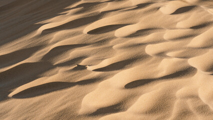Natural Sand Dune Patterns in a Desert Landscape