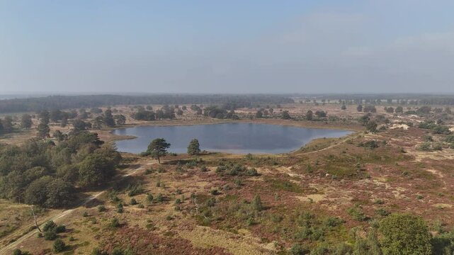 Aerial View of Small Lake in Drents-Friese Wold Nature Reserve, Netherlands