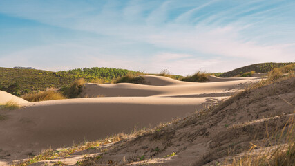 Serene Sand Dunes Under a Clear Blue Sky