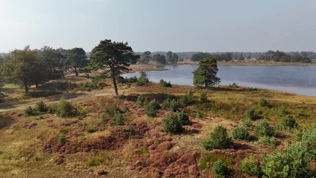 Serene Aerial View of Lake in Drents-Friese Wold Reserve