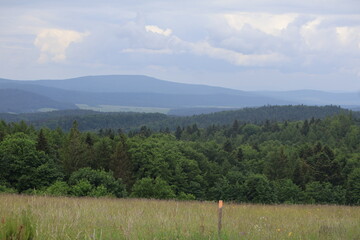 Krajobraz Podkarpacia