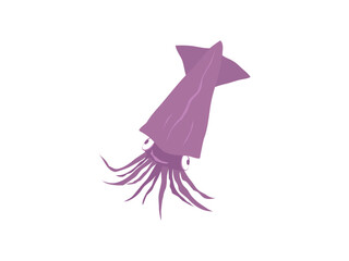 手描きのホタルイカ