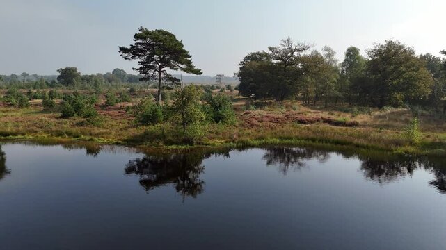 Aerial View of Small Lake in Drents-Friese Wold Nature Reserve, Netherlands