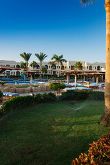 Swimming pool with palm trees at morning,  Egypt