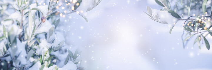 Olive branches in snow with bright bokeh lights. Horizontal background with atmospheric winter landscape for christmas greeting cards with space for text.