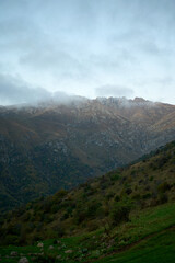 Fototapeta premium The view of Khustup Mountain, Armenia