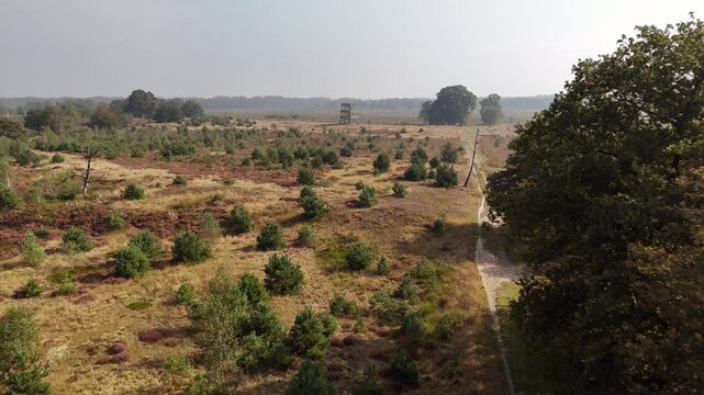 Scenic Aerial View of Drents-Friese Wold Watchtower