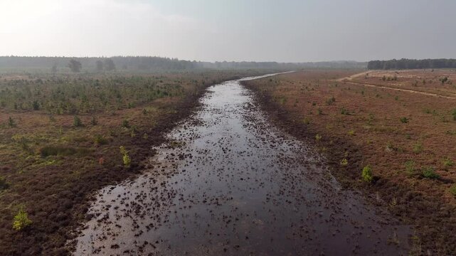 Aerial View of Water Channel in Drents-Friese Wold Nature Park, Netherlands