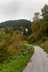 L'autunno nelle montagne friulane
