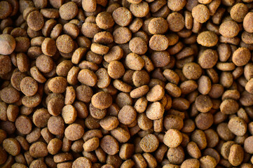 dried cat or dog pet food background