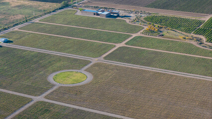 Obraz premium aerial view of vineyards in the morning in Mendoza