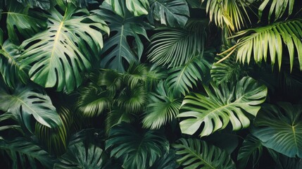 Lush Green Tropical Foliage Background