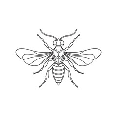 Hornet continuous line art flat vector illustration on white background.