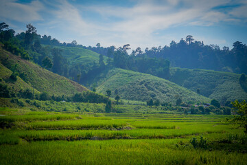 the atmosphere of the mountain in thailand with dramatic tone