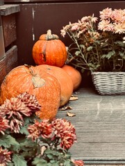 pumpkin and autumn leaves