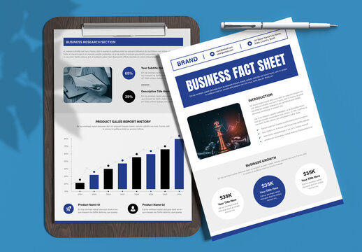 Business Company Fact Sheet Template
