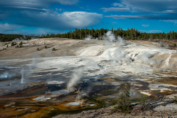 magnificent wild landscape in the Yellowstone National Park, Wyoming, United states of America