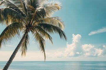 Obraz premium Palm trees on the background of the sea and blue sky.