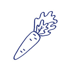 Carrot. Vegetable sketch. Hand drawn blue pen or marker drawing. Primitive kids picture