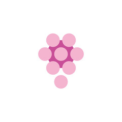 grape simple purple hexagon simple logo vector