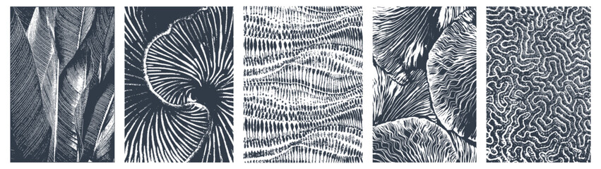 Abstract Organic Pattern. Leaves, Flowers Lines with Brush Strokes. Modern Printable Background Ornament. Abstract Organic Shape. Grounge Texture Walpaper. Leaf, Flowers Textile Background.