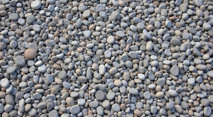 Background of smooth pebbles in grey tones for textures and design concepts