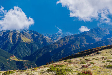 landscape in the mountains