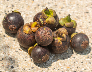 mangosteen fruit on gray background.