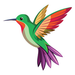 Free vector beautiful flying humming bird design