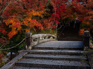 Stone bridge in the park near Eikando Zenrinji temple with autumn colors - Kyoto, Japan