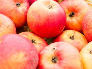 The red and yellow Apples background.