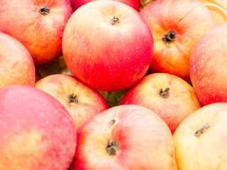 The red and yellow Apples background.