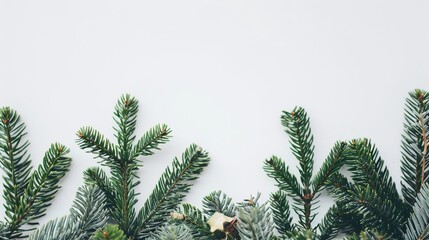 Obraz premium christmas background with christmas branches and decorations