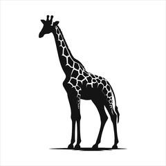 Giraffi4.eps