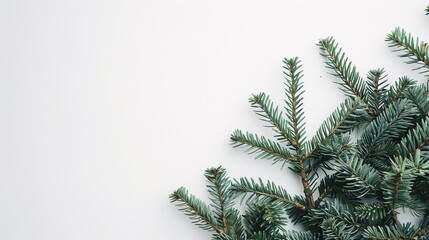 christmas background with christmas branches and decorations