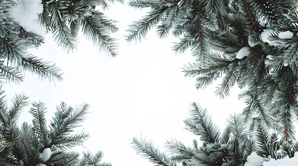 christmas background with christmas branches and decorations