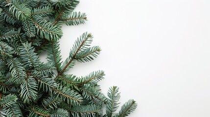 christmas background with christmas branches and decorations