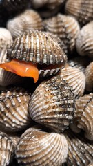 Clams in a restaurant. Seafood.