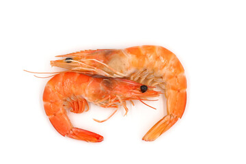 Red cooked prawn  isolated on white background as package design element