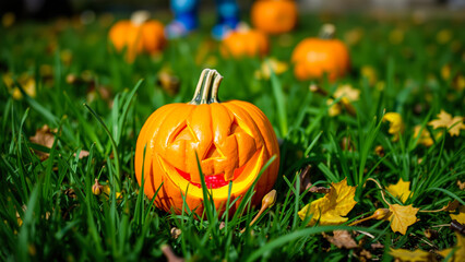 smiling pumpkin rests on a patch autumn grass