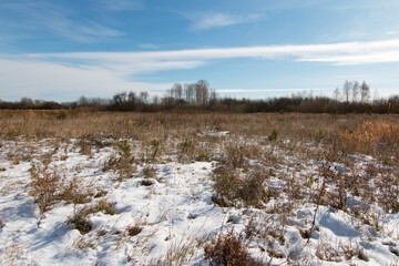 Scenery. Sunny autumn day. The first white snow fell on the field of dry grass. Above the horizon is a cold blue sky with white clouds.