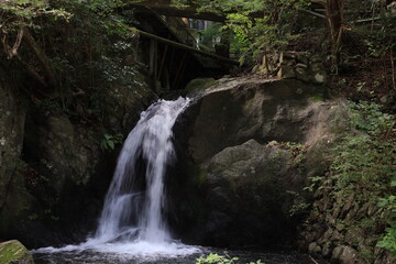 Fototapeta premium 川