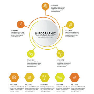infographic 5 elements template elegant dynamic circle layout