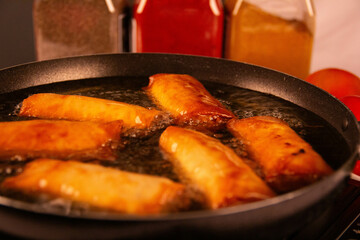 Freshly Made Gyozas with Savory Filling and Soy Sauce