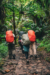 Group of friends hiking together in nature.They walking on old path. Group of people walking by hiking trail in forest. 