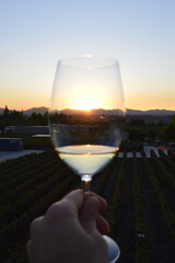 Obraz premium Pôr do sol na taça de vinho